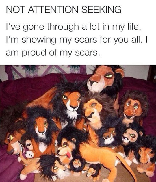 my scars